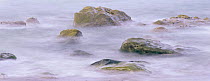 Rocks in the surf at Hole-in-the-Wall on the Pacific Coast, Olympic NP, Washington, USA