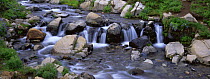 Edith Creek in Mount Rainier NP, Washington, USA