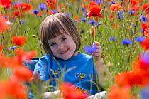 Portrait of Young girl sitting in field of Common poppies {Papaver rhoeas} and Cornflower, Scotland, UK, June