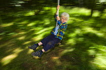 Young boy swinging through the forest, Letham, Fife, Scotland, UK