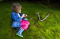 Young girl 'charming' a snake made of Foxglove flowers, Scotland, UK