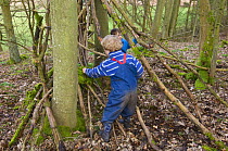 Children playing outdoors building a shelter in the woods, Fife, Scotland, UK - model released