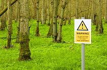 Spoof hazard sign about Risk assessment in the forest, Scotland, UK, 2007