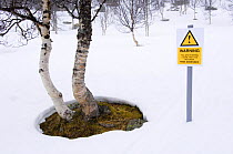 Spoof risk assessment hazard sign in the forest, Norway