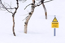 Spoof risk assesment hazard sign in the forest, Norway 2007