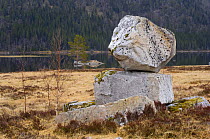 Rocks left by glacier movement - glacial erratic, in a lake-side bog, May, Songli, Sr-Trndelag, Norway