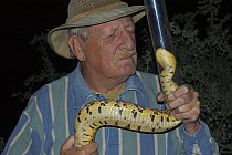 Tony Phelps handling and examining a Puff adder {Bitis arietans} in safety using a snake tube. Little karoo, South Africa