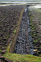 Peat blocks dug from peat bog and laid out to dry, Achill Island, County Mayo, Republic of Ireland.