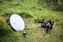 Photographic set-up with camera, reflector and flash gun for taking macro photos of plants, Picos de Europa, Asturias, Spain