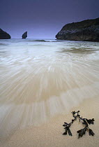 Sea washing up over beach with Seaweed, Buelna beach, El Picon, Llanes, Asturias, Spain