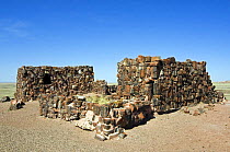 Agate House, an Indian pueblo (community) built with petrified wood. Petrified Forest National Park, Arizona, USA. 2007