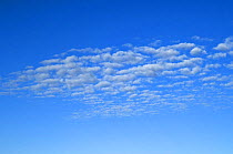 Stratocumulus undulatus clouds.