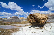 Petrified pedestal log along the Blue Mesa trail in the Painted Desert and Petrified Forest NP, Arizona, USA May 2007