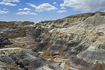 Tourists walking along the Blue Mesa Trail which winds through badlands formations, Painted Desert and Petrified Forest, Arizona, USA May 2007