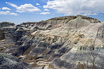 Blue Mesa badlands formations, Painted Desert and Petrified Forest, Arizona, USA May 2007