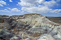 Blue Mesa Trail badlands formations, Painted Desert and Petrified Forest, Arizona, USA May 2007