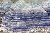 Blue, grey, white, lavender and green striated cones, Blue Mesa, Painted Desert and Petrified Forest, Arizona, USA