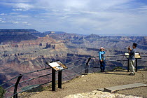 Tourist posing in front of the Grand Canyon at viewpoint along the Desert View Drive, Grand Canyon NP, Arizona, USA