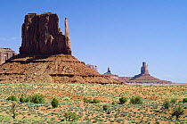 The Mittens, Monument Valley Navajo Tribal Park, Arizona, USA May 2007