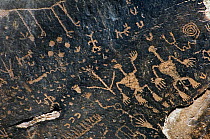 'Newspaper Rock' Anasazi Indian petroglyphs showing anthropomorphs (human-like figures), zoomorphs (animal-like figures) and katsinas (spiritual figures), Petrified Forest National Park, Arizona