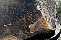 'Newspaper Rock' Anasazi Indian petroglyphs showing anthropomorphs (human-like figures), zoomorphs (animal-like figures) and katsinas (spiritual figures), Petrified Forest National Park, Arizona