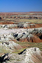 The Painted Desert, part of the Petrified Forest National Park stretches some 50,000 acres of colorful mesas, butes, and badlands, Arizona, USA May 2007