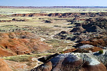 The Painted Desert, part of the Petrified Forest National Park stretches some 50,000 acres of colorful mesas, butes, and badlands, Arizona, USA May 2007
