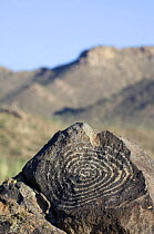 Rock art, created by the Hohokam Indians, showing spiral petroglyph with the Tucson Mountains in the background, Saguaro NP, Arizona, USA