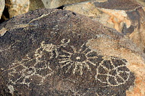 Rock art in the Tucson Mountains, created by the Hohokam Indians, showing geometrical shaped petroglyphs, Saguaro NP, Arizona, USA