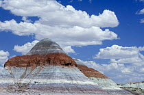 The Tepees / Cones, Painted Desert and Petrified Forest NP, Arizona, USA May 2007