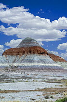 The Tepees / cones, Painted Desert and Petrified Forest NP, Arizona, USA May 2007