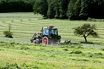 Tractor with mower cutting grass for hay, Luxembourg