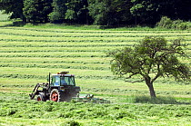 Tractor with mower cutting grass for hay, Luxembourg