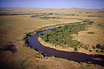 Aerial view of Mara river, Masai Mara GR, Kenya