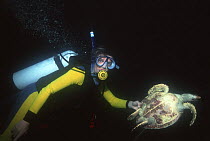 Martha Holmes with drowned juvenile Hawksbill turtle (Eretmochelys imbricata) that had been caught in dicarded fishing net. Andaman Sea, Thailand.