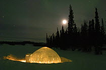 Igloo with lights at night by moonlight, Northwest Territories, Canada March 2007