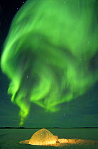 Igloo lit up at night under northern lights (Aurora borealis) Northwest Territories, Canada March 2007