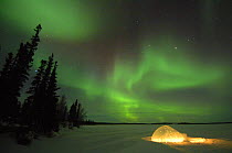Igloo lit up at night under northern lights (Aurora borealis) Northwest Territories, Canada March 2007