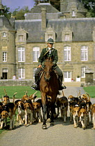 Hunting show with pack of French Tricolore Hounds at the Chateau de la Bourbansais, Brittany, France