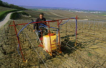 Treatment against diseases, spraying, early spring. Cte de Blancs vineyard, Champagne country, France
