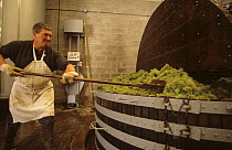 Man working at traditional wine press, M. Coquillette Champagne producer in Chouilly, Cte de Blancs vineyard, Champagne country, France