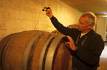 Francis Boyer testing his champagne in oak barrels, Chouilly, Cte de Blancs vineyard, Champagne country, France. 2006
