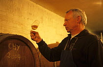 Francis Boyer testing his champagne in oak barrels, Chouilly, Cte de Blancs vineyard, Champagne country, France