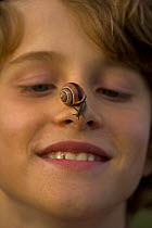 Boy (Ten years) enjoying watching Brown-lipped / Grove snail {Cepaea nemoralis} crawling on nose, England