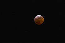 Lunar Eclipse, 3rd March 2007 from Northumberland, UK