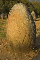 Ancient Standing stone with cup markings, Cromlech, nr. Evora, Portugal 4-5,000 BC.