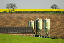 Livestock food silos in rural landscape, Norfolk, UK, April