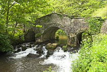 Typical old Exmoor bridge over the river Barle, Exmoor, Somerset, UK, May