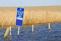 Coastal car park flooded by water from freshwater marsh, sea wall in background, North Norfolk, UK