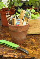 Plant labels and gardening utencils in terracotta plant pot, UK